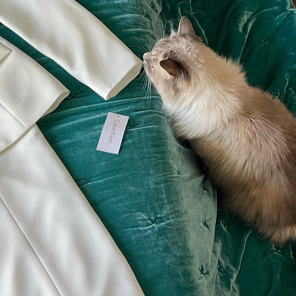 Calvin Klein 2 piece suit (hypoallergenic Siberian cat not included) 😹 - Picture 1 of 12
